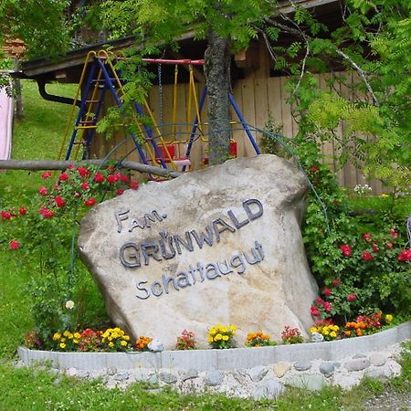 Schattaugut Eben Im Pongau Dış mekan fotoğraf