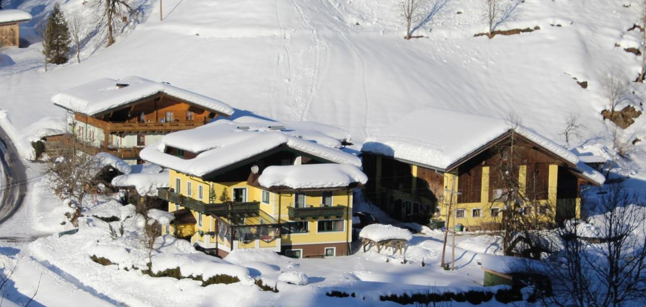 Schattaugut Eben Im Pongau Dış mekan fotoğraf